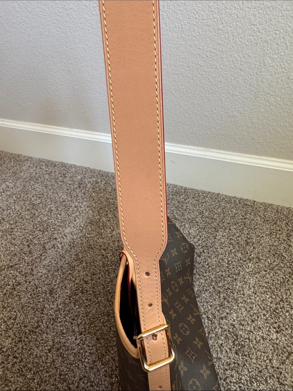 AUTHENTIC LOUIS VUITTON CARRYALL PM - Picture 9 of 12